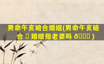 男命午亥暗合婚姻(男命午亥暗合 ☘ 婚姻指老婆吗 💐 )